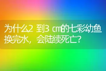 为什么2到3㎝的七彩幼鱼换完水，会陆续死亡？