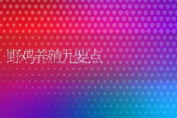 野鸡养殖九要点