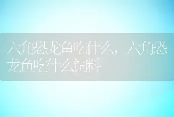 六角恐龙鱼吃什么，六角恐龙鱼吃什么饲料