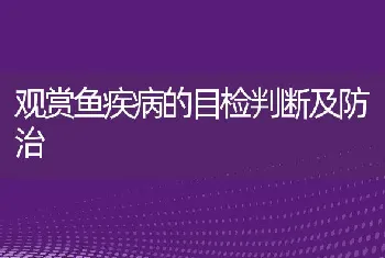 观赏鱼疾病的目检判断及防治