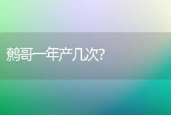 鹩哥一年产几次？