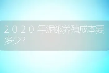 2020年泥鳅养殖成本要多少？