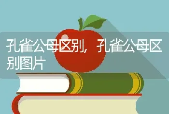 孔雀公母区别，孔雀公母区别图片