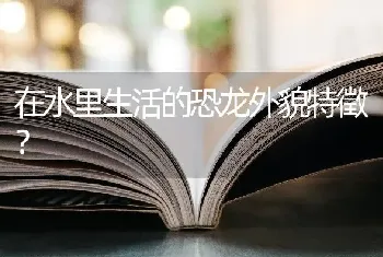 急，求助，狗狗因神经炎后肢瘫痪如何护理？