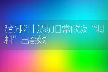 猪饲料中添加日常做饭调料出奇效