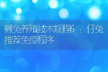 獭兔养殖技术规程6：仔兔推荐免疫程序