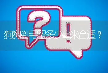 狗狗剃毛留多少毫米合适？