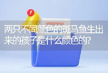 两只不同颜色的斑马鱼生出来的孩子是什么颜色的？