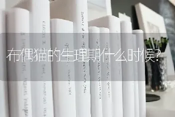 布偶猫的生理期什么时候？