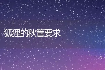 狐狸的秋管要求