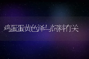 番鸭规模化养殖的管理措施