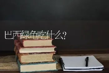 两个月布偶猫粮用泡吗？