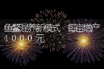 鱼鳖混养新模式每亩增产4000元