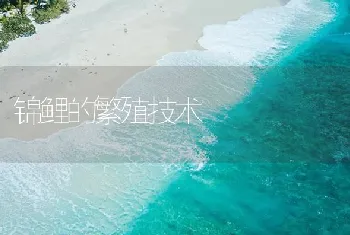 锦鲤的繁殖技术