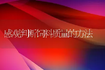 感观判断饲料质量的方法