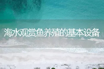 海水观赏鱼养殖的基本设备