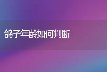 1到5月内蒙古农畜产品出口达1.33亿美元