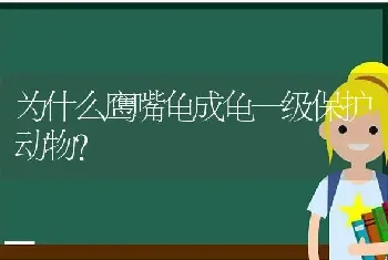 为什么鹰嘴龟成龟一级保护动物？