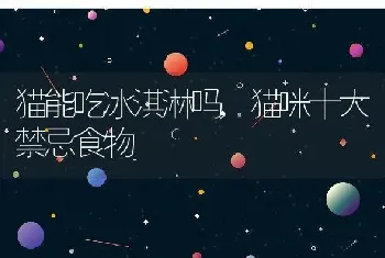 乌龟为什么寿命长，乌龟为什么寿命长益智解谜