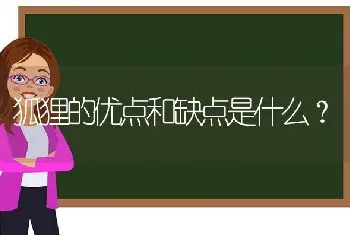 狐狸的优点和缺点是什么？