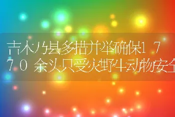 吉木乃县多措并举确保1770余头只受灾野生动物安全