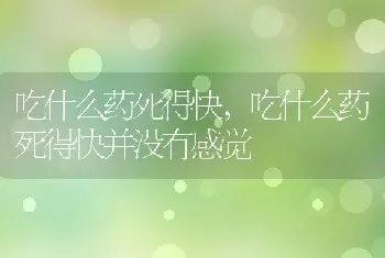 吃什么药死得快，吃什么药死得快并没有感觉