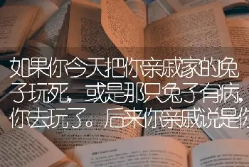 如果你今天把你亲戚家的兔子玩死，或是那只兔子有病，你去玩了。后来你亲戚说是你弄死的？