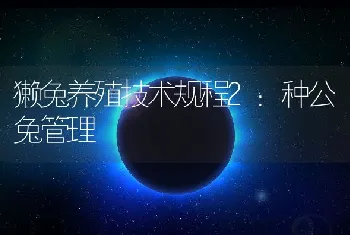 獭兔养殖技术规程2：种公兔管理