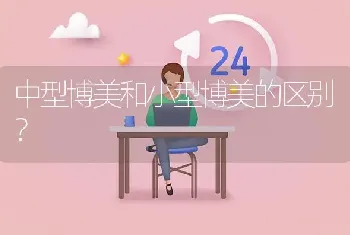 中型博美和小型博美的区别？