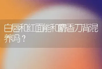 辨别一下狗狗得的是细小还是肠胃炎？