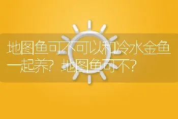 地图鱼可不可以和冷水金鱼一起养？地图鱼可不？