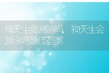 狗天生会游泳吗，狗天生会游泳吗最佳答案