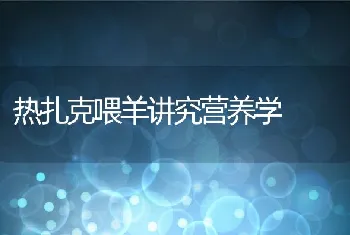 热扎克喂羊讲究营养学