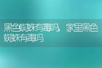 黑色蜘蛛有毒吗，家里黑色蜘蛛有毒吗