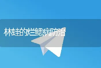 林蛙的烂鳃病防治