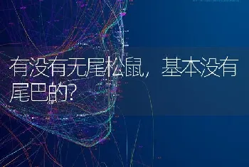 有没有无尾松鼠，基本没有尾巴的？