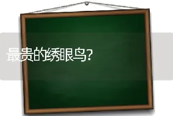 最贵的绣眼鸟？