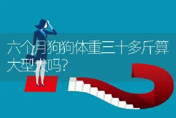 六个月狗狗体重三十多斤算大型犬吗？