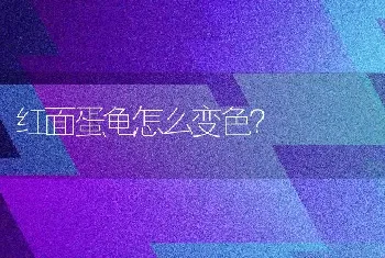 红面蛋龟怎么变色？