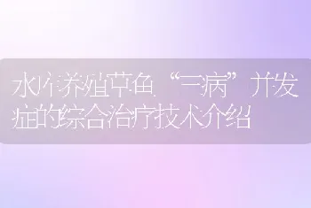 水库养殖草鱼三病并发症的综合治疗技术介绍