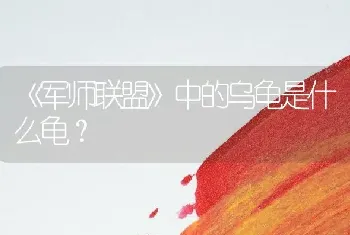 《军师联盟》中的乌龟是什么龟？