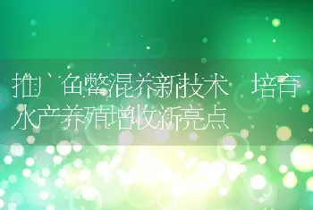 推广鱼鳖混养新技术培育水产养殖增收新亮点