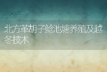 北方革胡子鲶池塘养殖及越冬技术