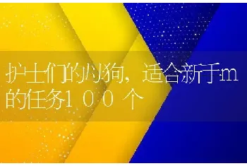 护士们的母狗，适合新手m的任务100个