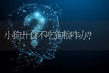 2021年最火十大梗？