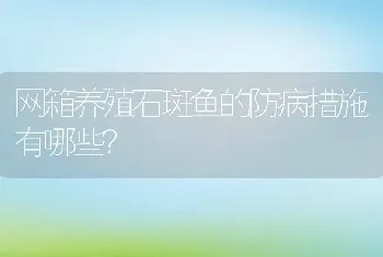 网箱养殖石斑鱼的防病措施有哪些？