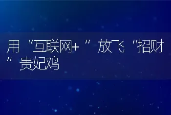 用“互联网+”放飞“招财”贵妃鸡