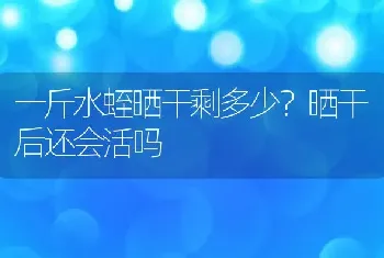 一斤水蛭晒干剩多少？晒干后还会活吗