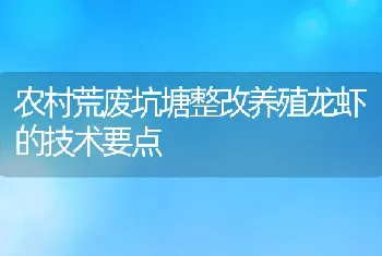 农村荒废坑塘整改养殖龙虾的技术要点