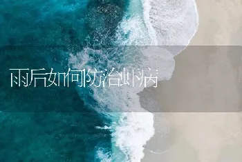 雨后如何防治虾病